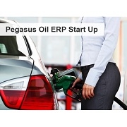 Pegasus Oil ERP Start Up